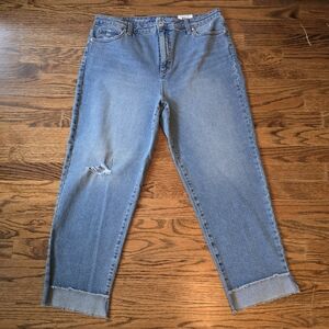 Style & Co. NWT 16 Straight Leg Jeans